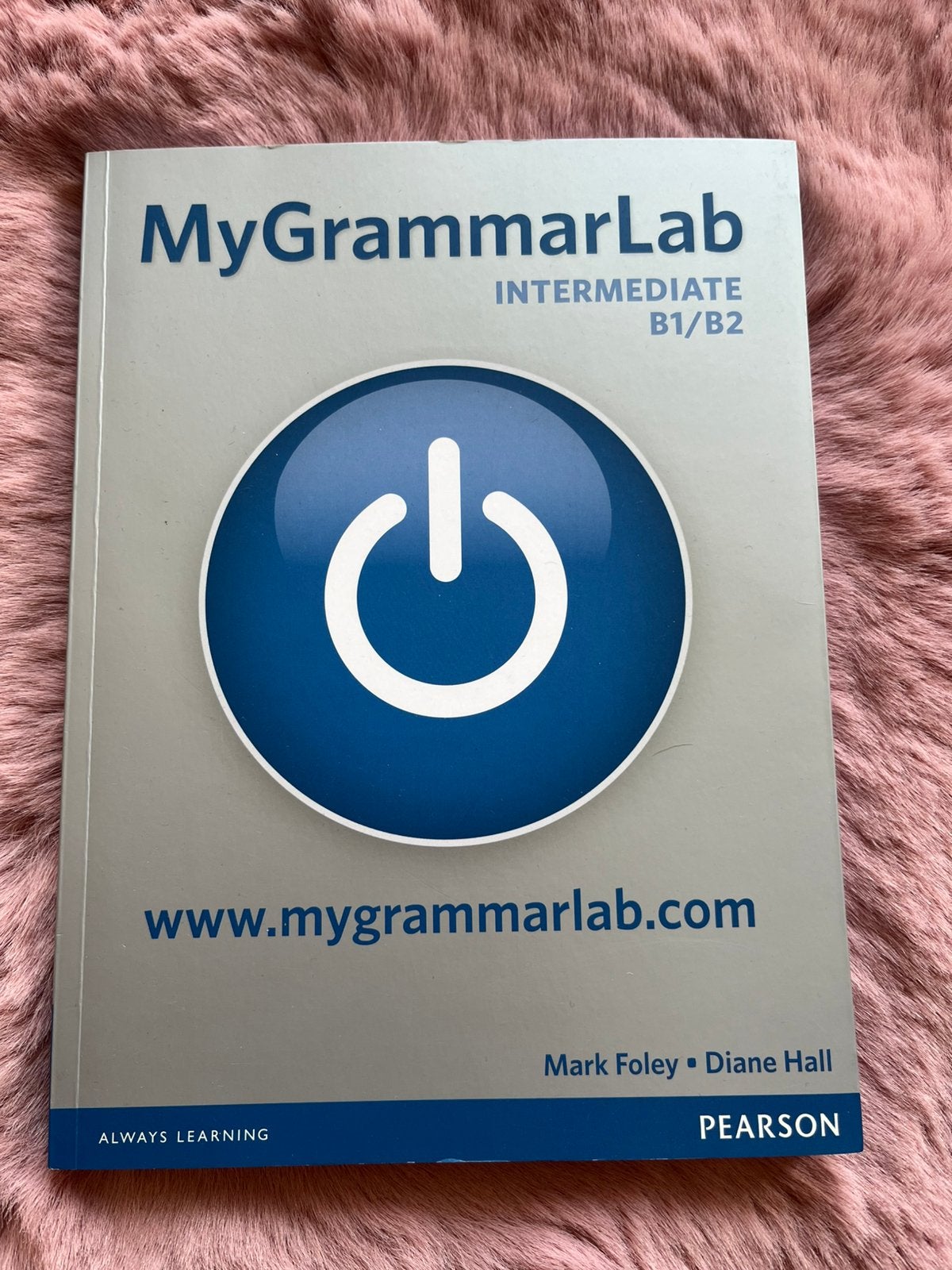 My grammar lab intermediate, Ophalen of Verzenden, Nieuw, Overige niveaus, Engels