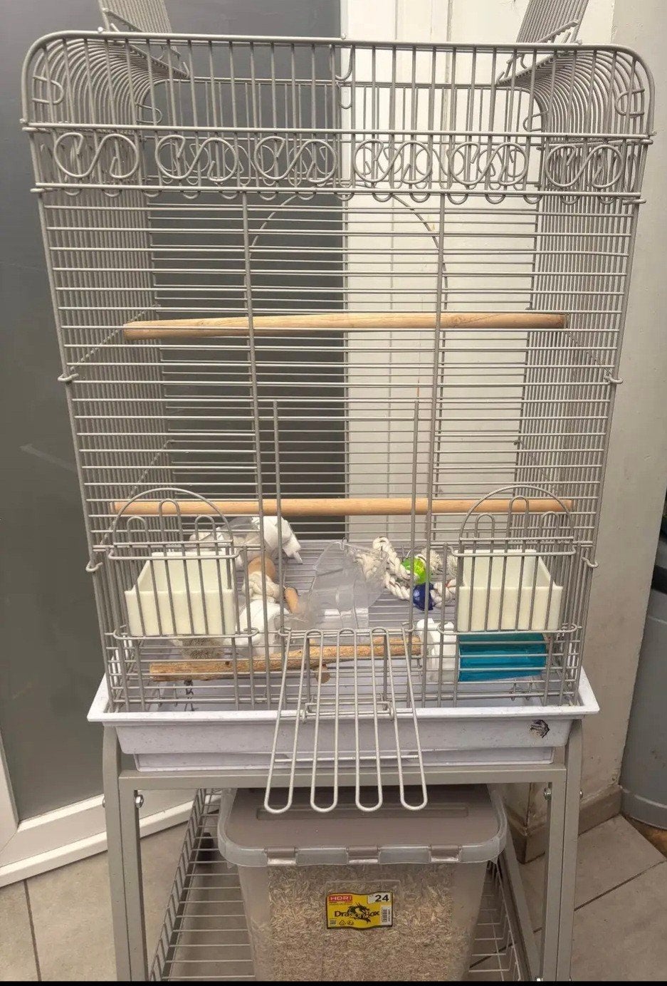 Cage perroquet, Enlèvement