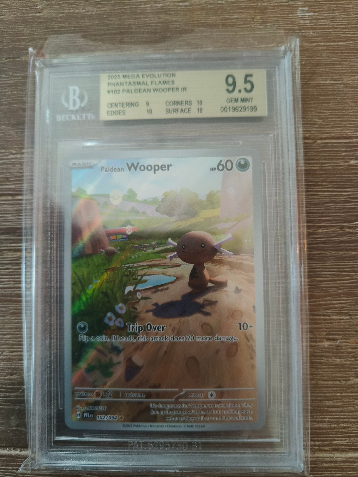 Pokemon Paldean wooper - phantsasmal flames, Ophalen
