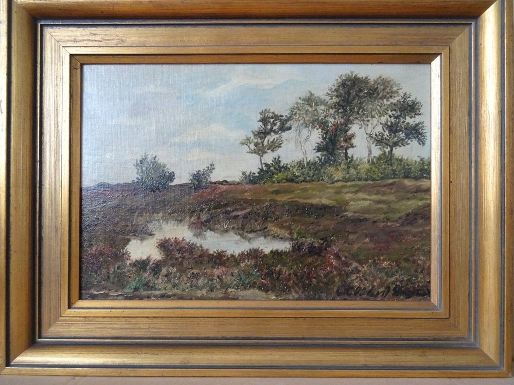 Schilderij C.J.G. Cool-Van Oosten Slingeland Heide bij Rolde, Antiek en Kunst, Kunst | Schilderijen | Klassiek, Paneel, Realistisch