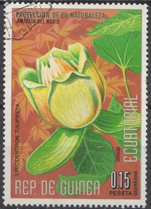 Equatoriaal Guinea - Bloem en knop van een tulpenboom- 1974, Timbres & Monnaies, Timbres | Afrique, Enlèvement ou Envoi, Affranchi