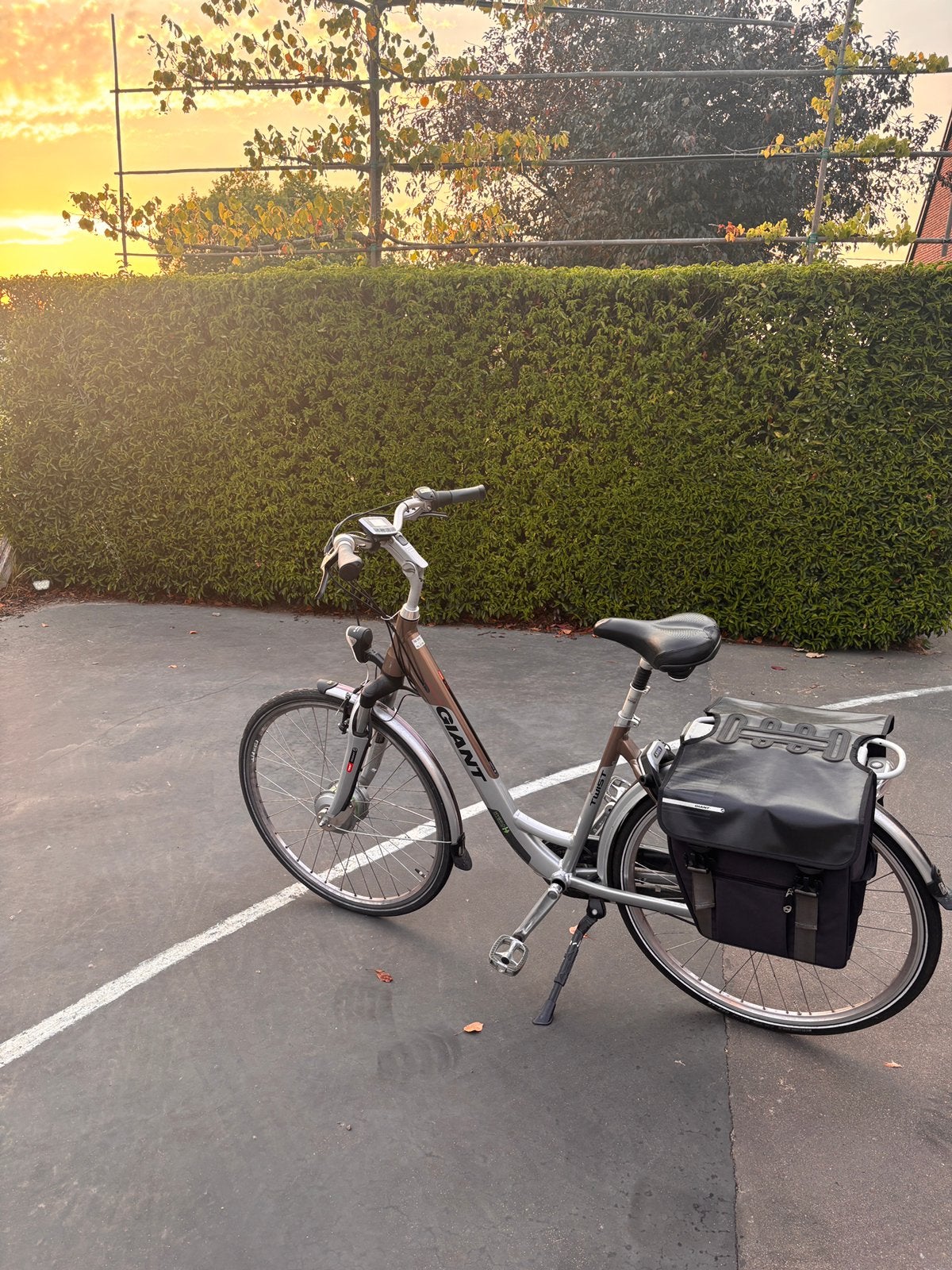 Giant elektrische damesfiets, Fietsen en Brommers, Ophalen, Gebruikt, Giant, Versnellingen