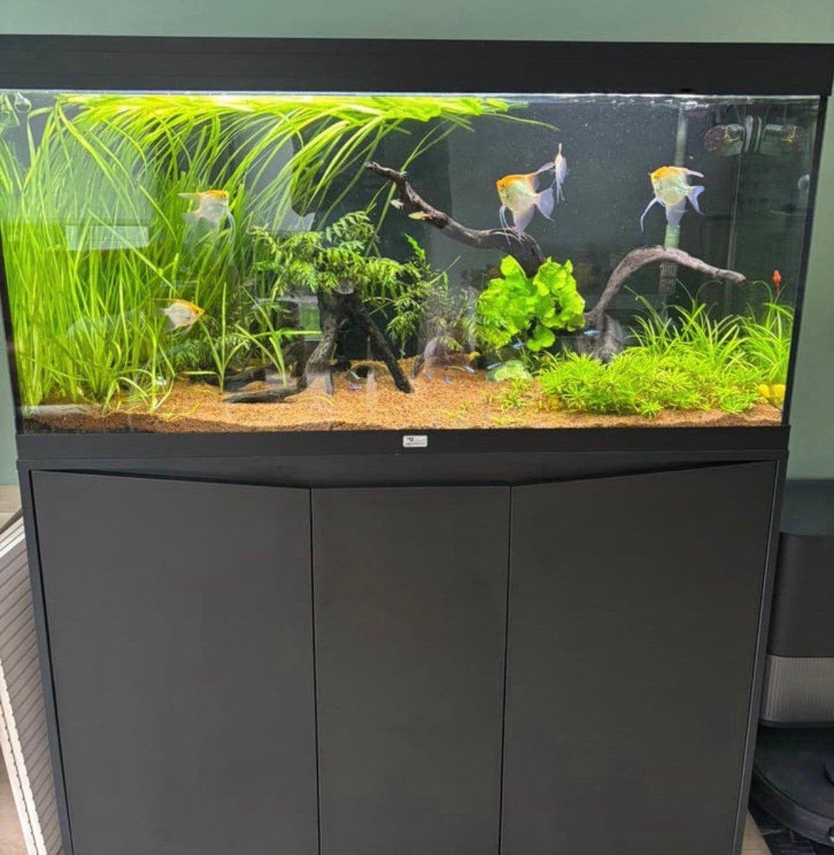 Aquarium leeg, Dieren en Toebehoren, Ophalen, Verwarming, Zo goed als nieuw, Filter