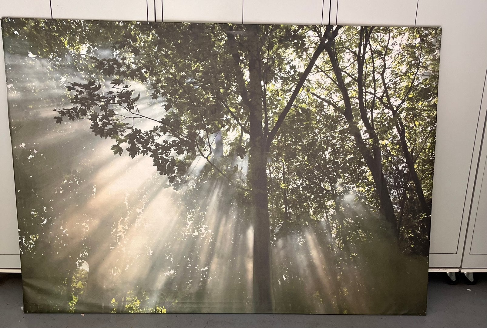 Wanddecoratie groot canvas natuur bos, Huis en Inrichting, Ophalen
