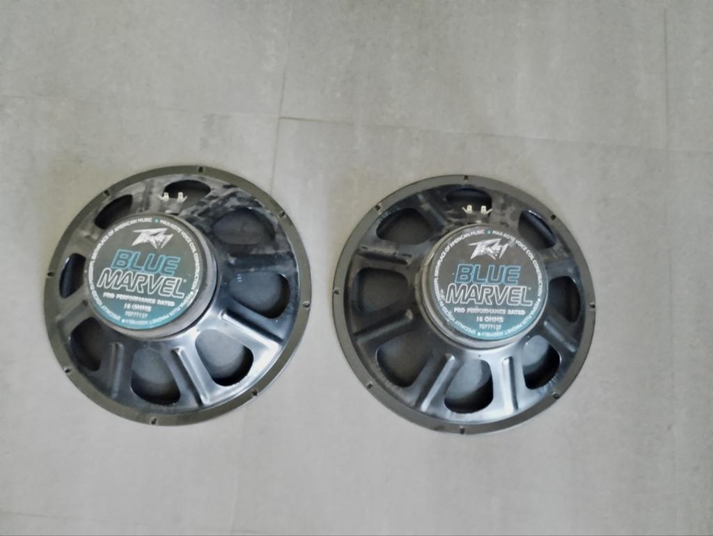 Haut-parleurs Peavey Blue Marvel 15 pouces (2 pièces) IGGS, Enlèvement ou Envoi