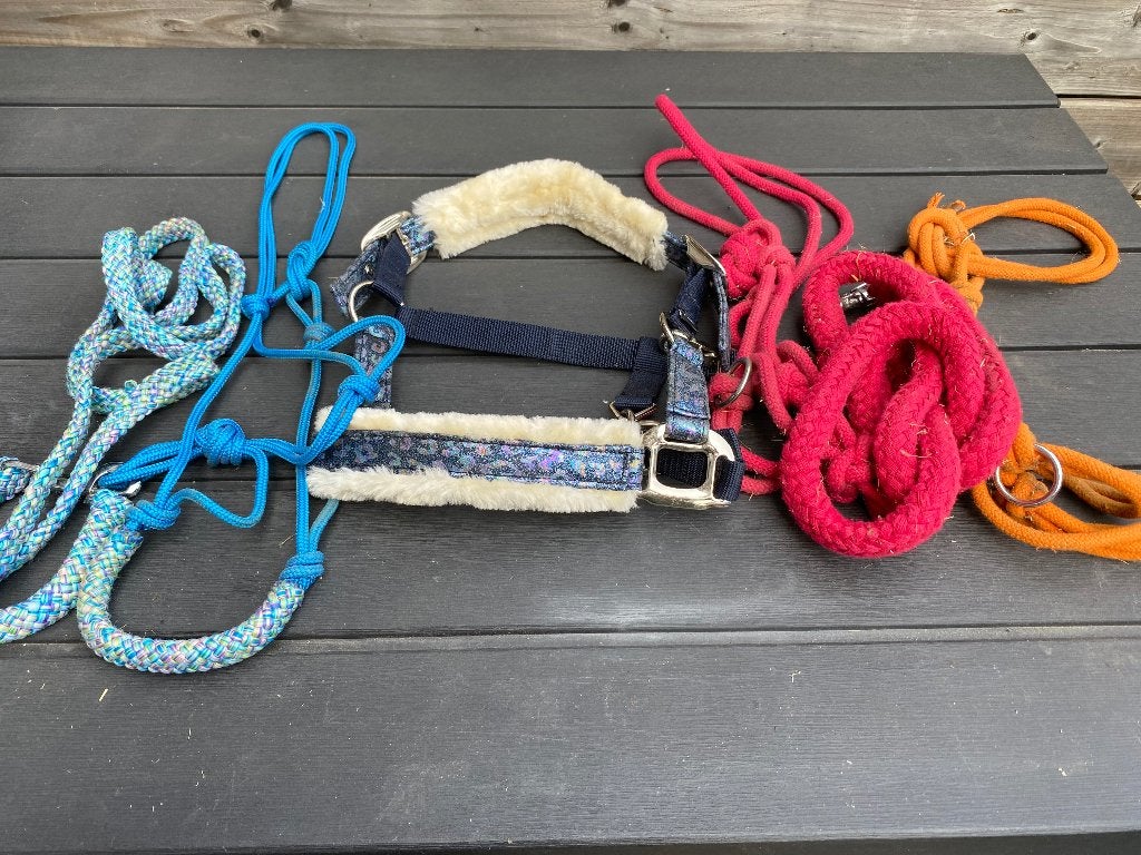 Pony halsters, Animaux & Accessoires, Chevaux & Poneys | Brides & Harnachement, Enlèvement, BR, Poney