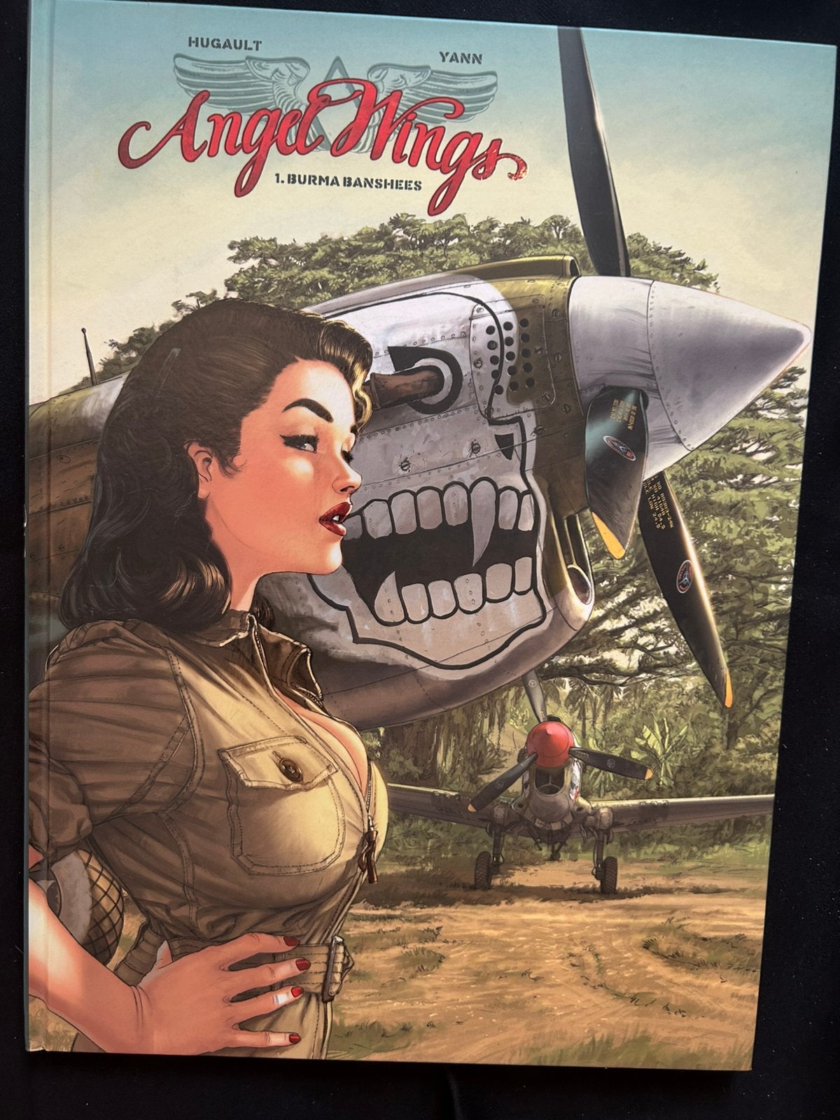 Angel wings, Livres, BD, Enlèvement ou Envoi, Comme neuf