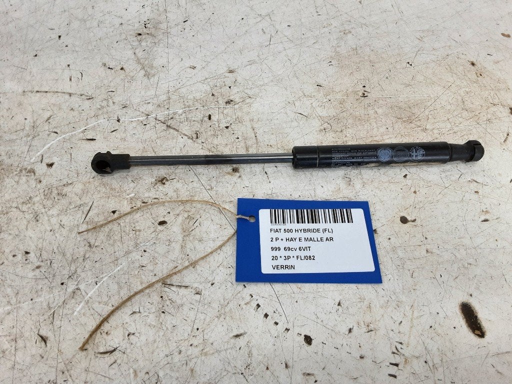 VERIN A GAZ Fiat 500C (312) (01-2009/-), Mevr. I. Hauben, Utilisé, Fiat, Rue de l'Espoir 34 34
4030  GRIVEGNÉE, BE