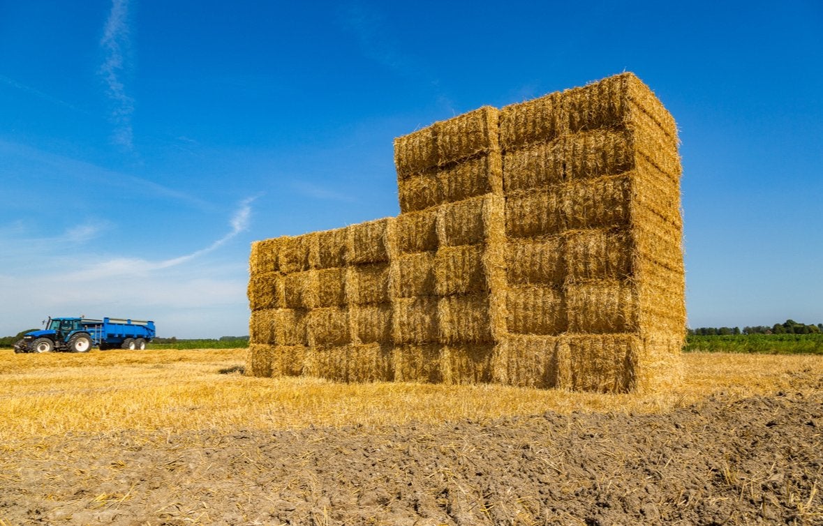Stro gezocht op het land, Ophalen