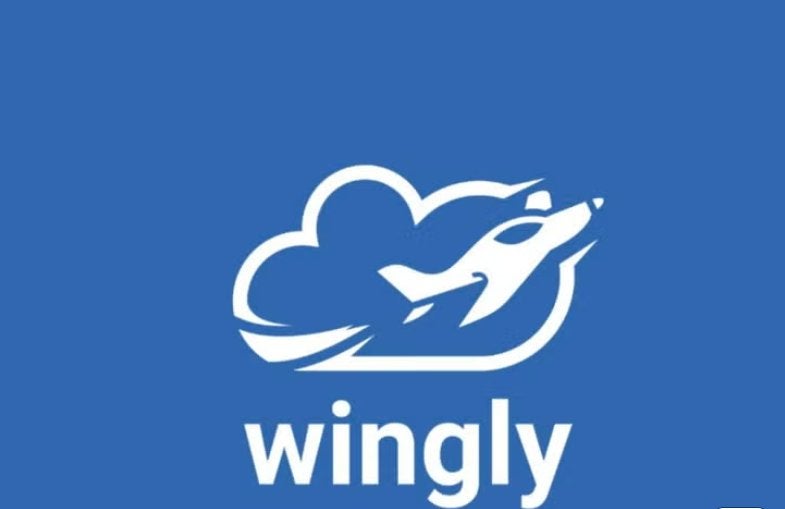 Bon cadeau Wingly ️, Tickets & Billets, Loisirs | Parcs d'attractions, Carte de réduction