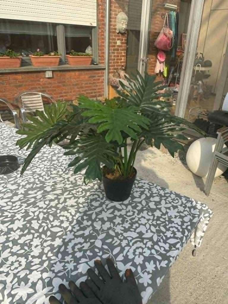 plastic sierplant, Ophalen, Groen, Onderhoudsvrij, Kunstplant