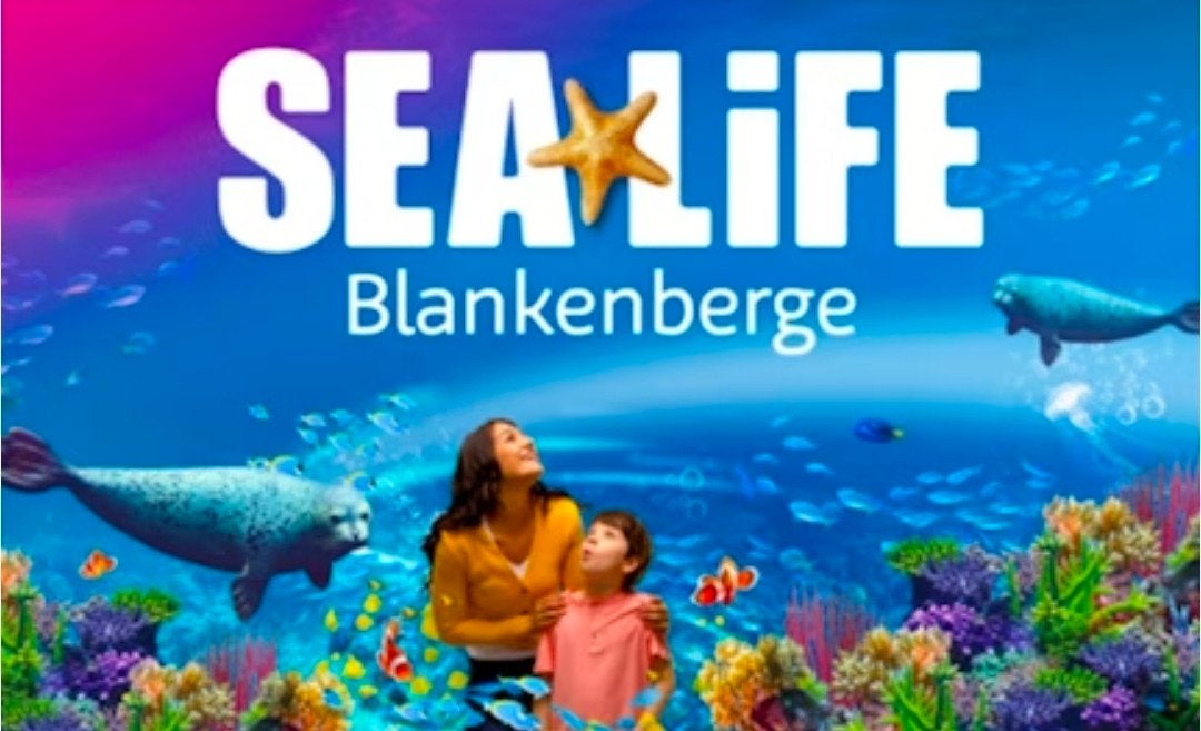 2 tickets volwassene Sealife Blankenberge, Tickets en Kaartjes