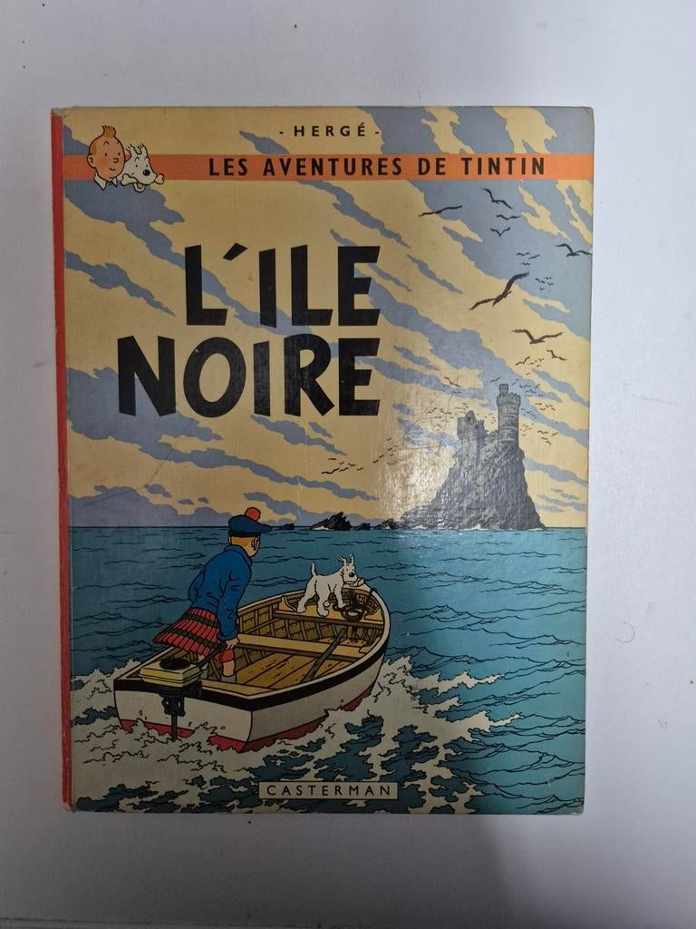 Tintin l île noire, Enlèvement