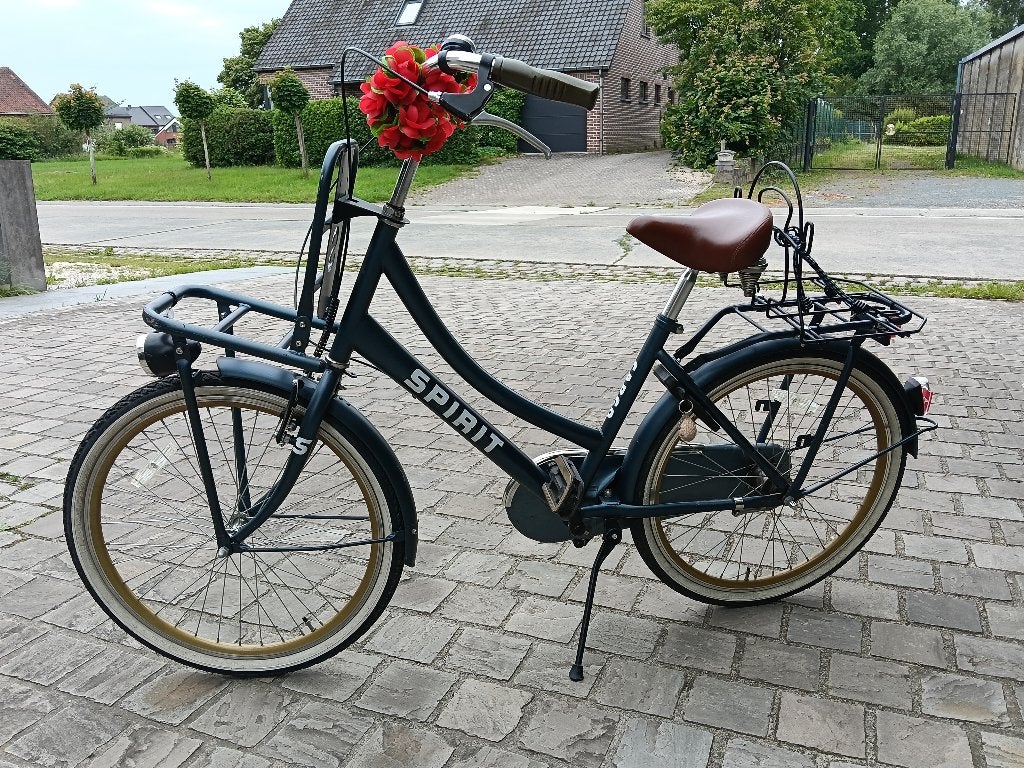 meisjes fiets, Ophalen, Terugtraprem, Gebruikt, Versnellingen
