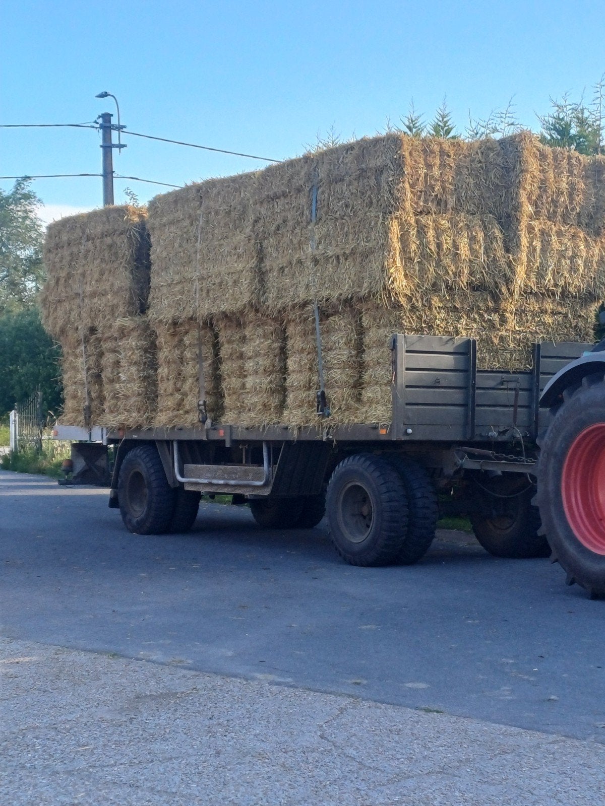 Ik zoek tarwe stro, Zakelijke goederen, Landbouw | Veevoer, Ophalen