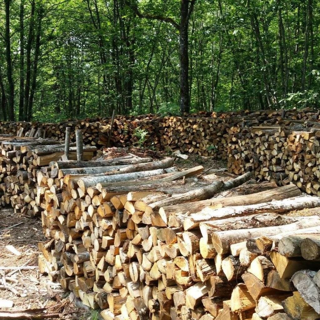 bois de chauffage de charmes en 1 metre fendu 200 steres, 6 m³ ou plus, Enlèvement, Autres essences de bois, Bûches