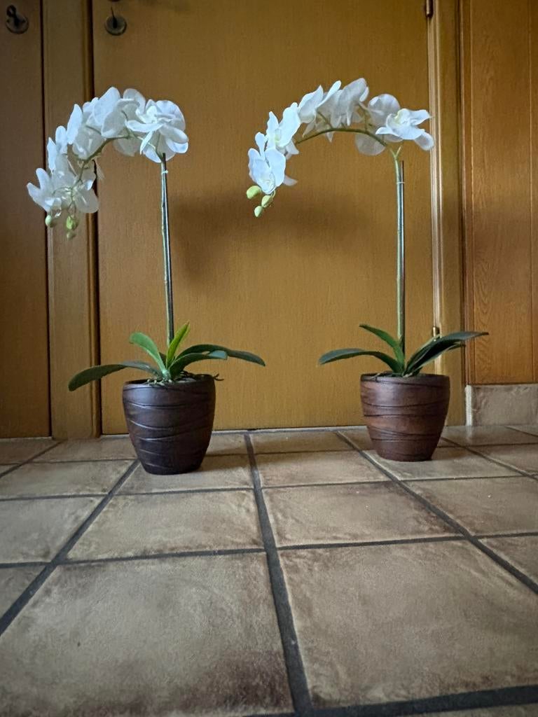 Namaak orchideeën., Enlèvement, Utilisé