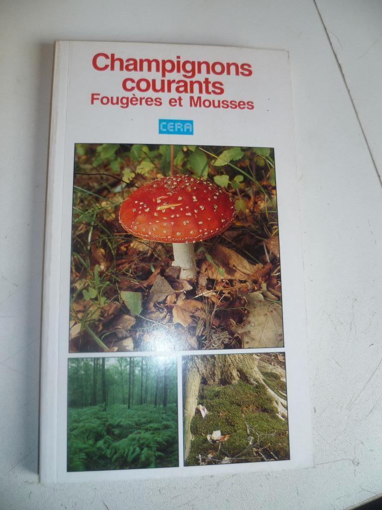 champignons, fougères et mousses, Jardin & Terrasse, Enlèvement ou Envoi