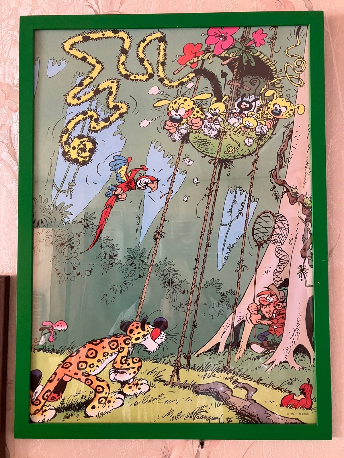 Franquin - het nest van de marsupilami, Verzamelen, Ophalen