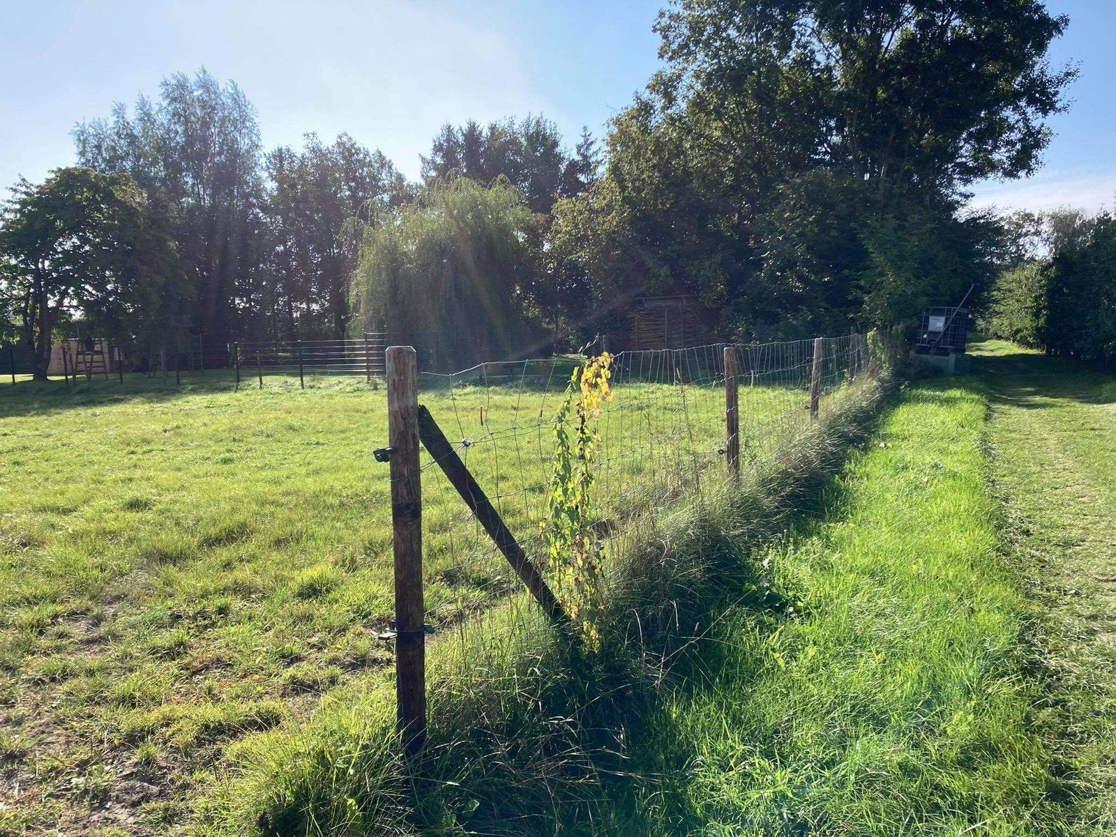 Stallen te huur (2plaatsen), Stalling, 2 of 3 paarden of pony's