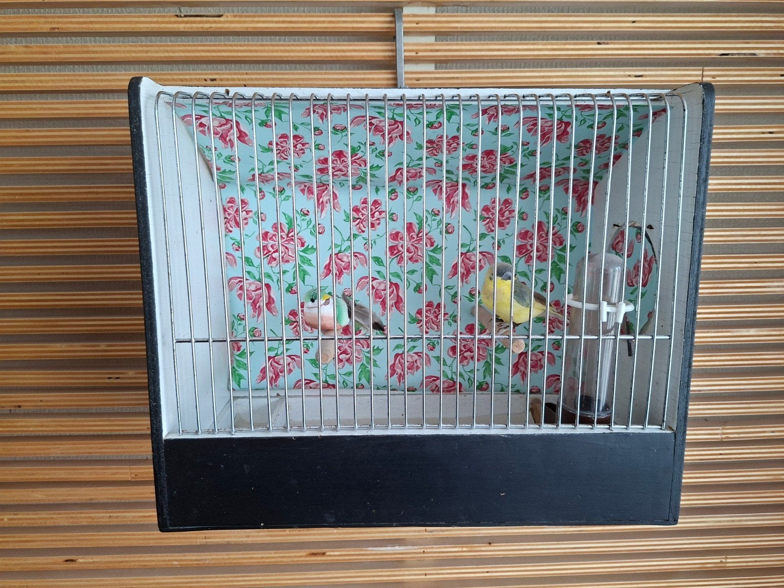 Vogelkooi, Ophalen