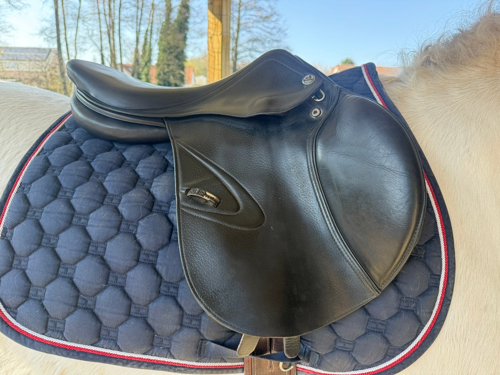 Prestige Carisma springzadel, Dieren en Toebehoren, Ophalen of Verzenden, Zo goed als nieuw