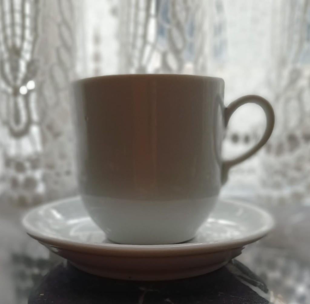 Espresso-koffiekopje met schoteltje - hotelporselein, Huis en Inrichting, Keuken | Servies, Ophalen, Gebruikt, Overige stijlen