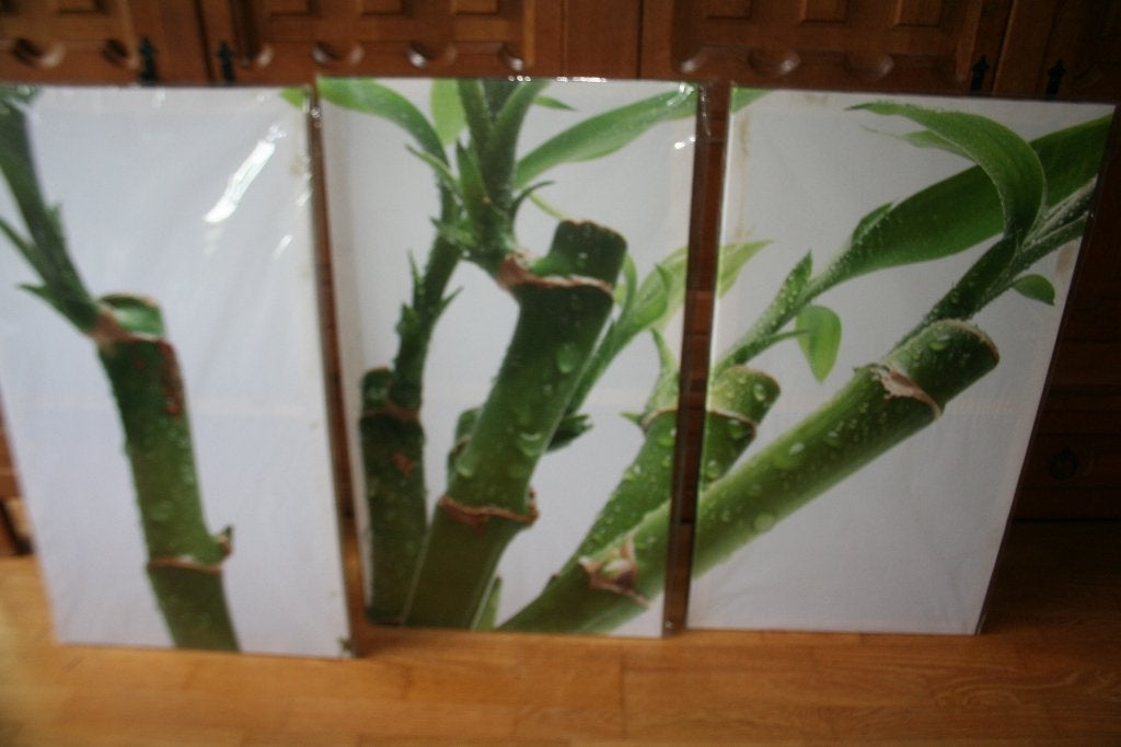 Wanddecoratie 3-luik bamboo 160X90 XXL, Moderne, Enlèvement, Comme neuf