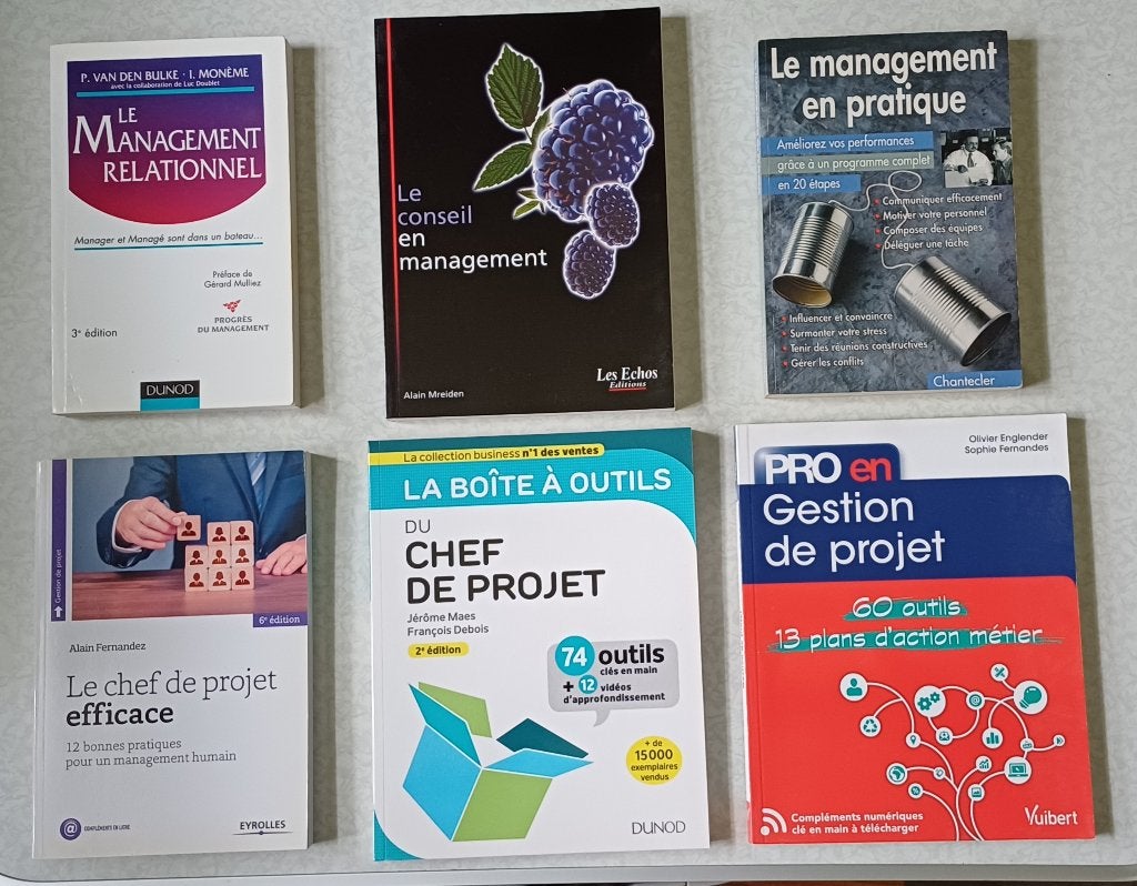 Management-livres, Enlèvement ou Envoi, Comme neuf