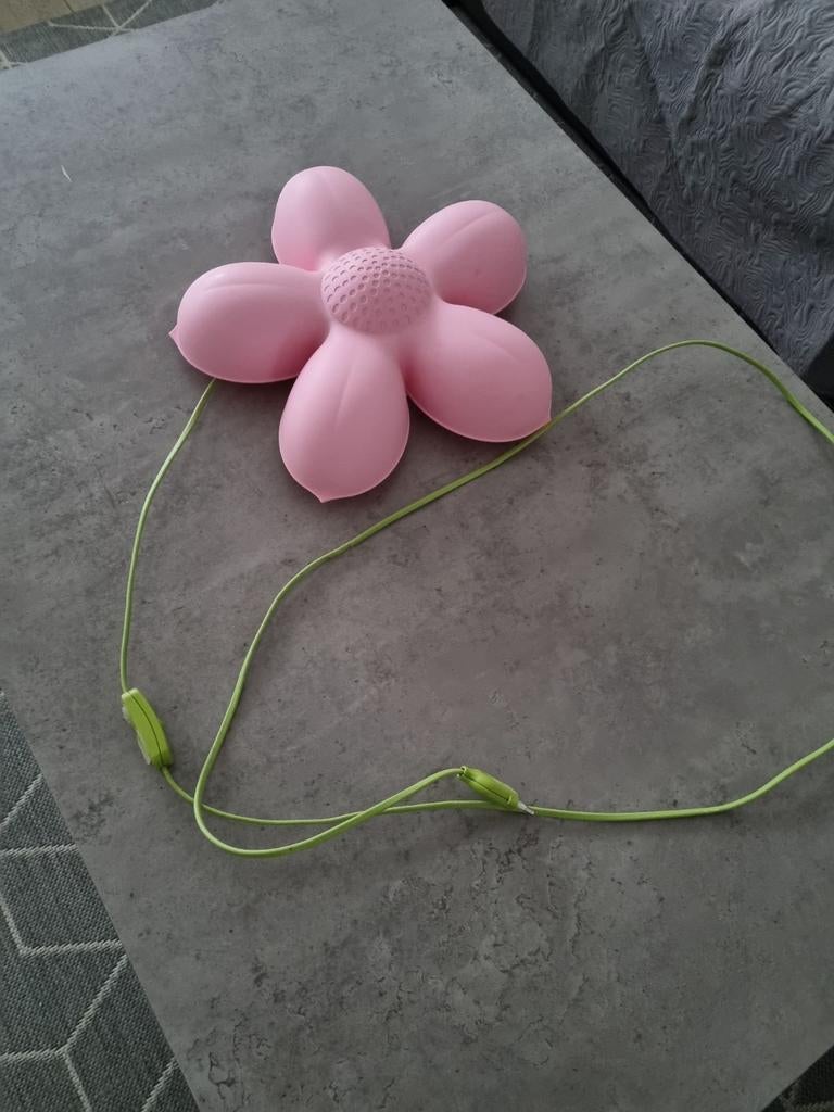 Lamp te koop, Enlèvement
