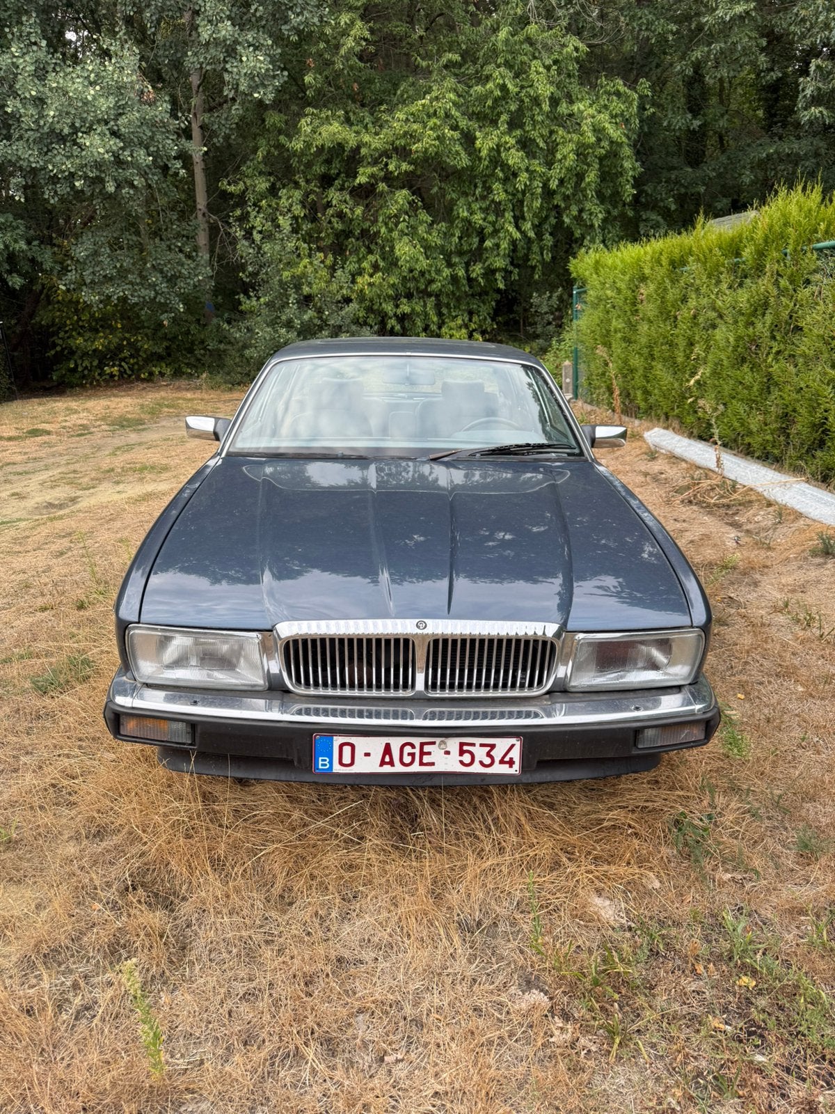 Daimler, Automaat, 4 deurs, Blauw, Leder
