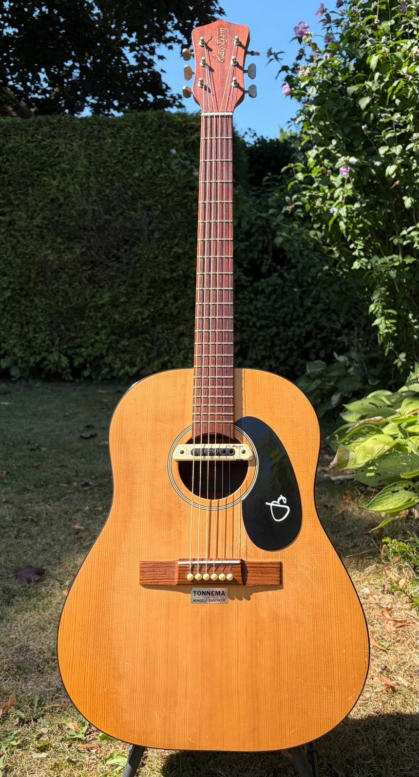 Hagström b-60 en Stanford Big Sister, Muziek en Instrumenten, Snaarinstrumenten | Gitaren | Akoestisch, Ophalen, Zo goed als nieuw