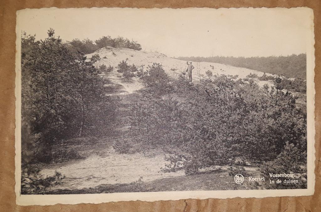Koersel Vossenberg, Enlèvement ou Envoi, Affranchie, Limbourg