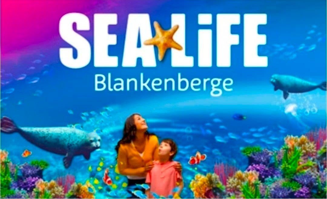 1 ticket kind 2-14 jaar Sealife
