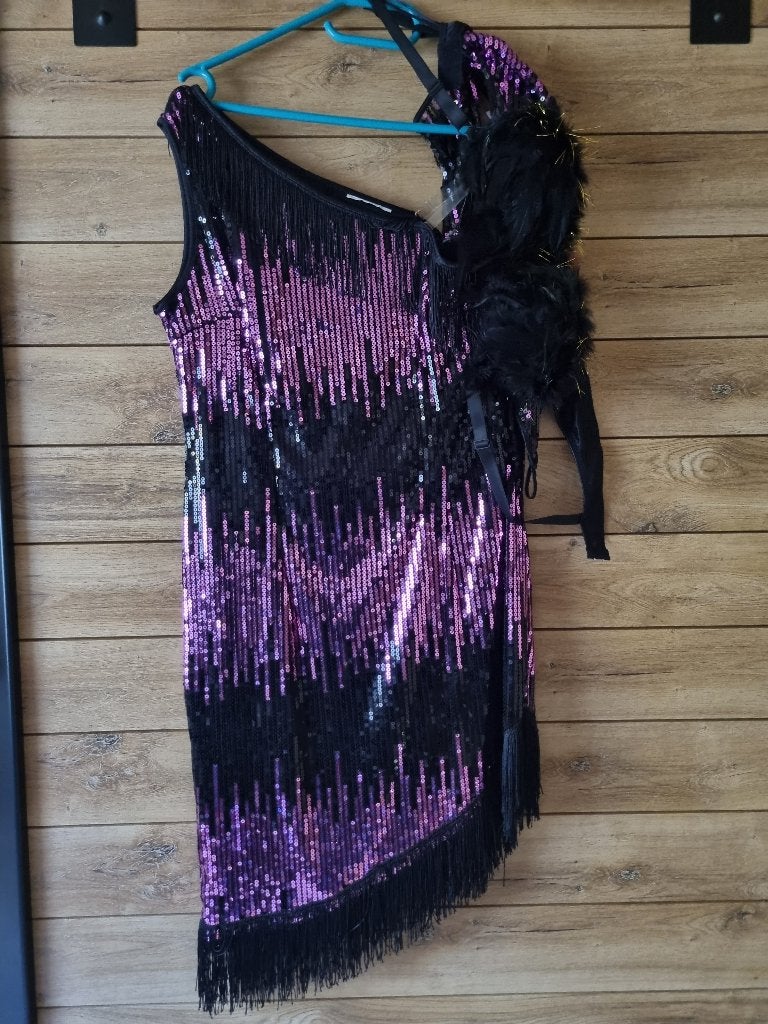 charleston kleedje foute party dames, Kleding | Dames, Carnavalskleding en Feestkleding, Ophalen, Zo goed als nieuw, Maat 38/40 (M)
