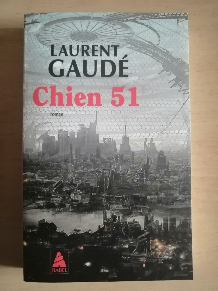Chien 51 de Laurent Gaudé, Enlèvement ou Envoi