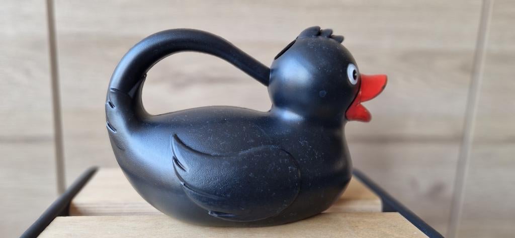 Gieter voor kids, Enlèvement