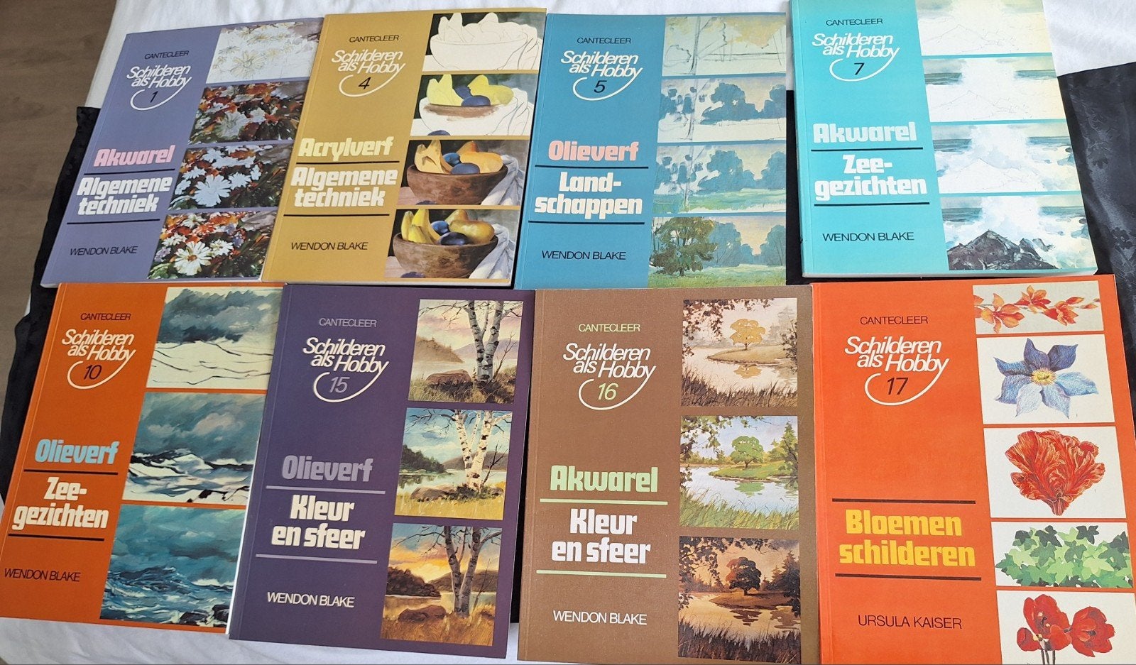CANTECLEER SCHILDER BOEKEN, Boeken, Hobby en Vrije tijd, Ophalen of Verzenden