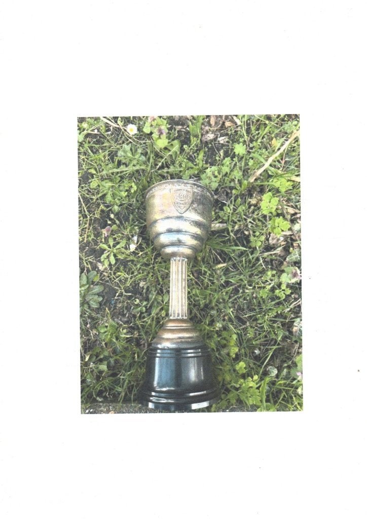 OUDE BROUWERIJ TROFEE BEKER LEROY BOEZINGE, Ophalen of Verzenden, Gebruikt, Overige typen