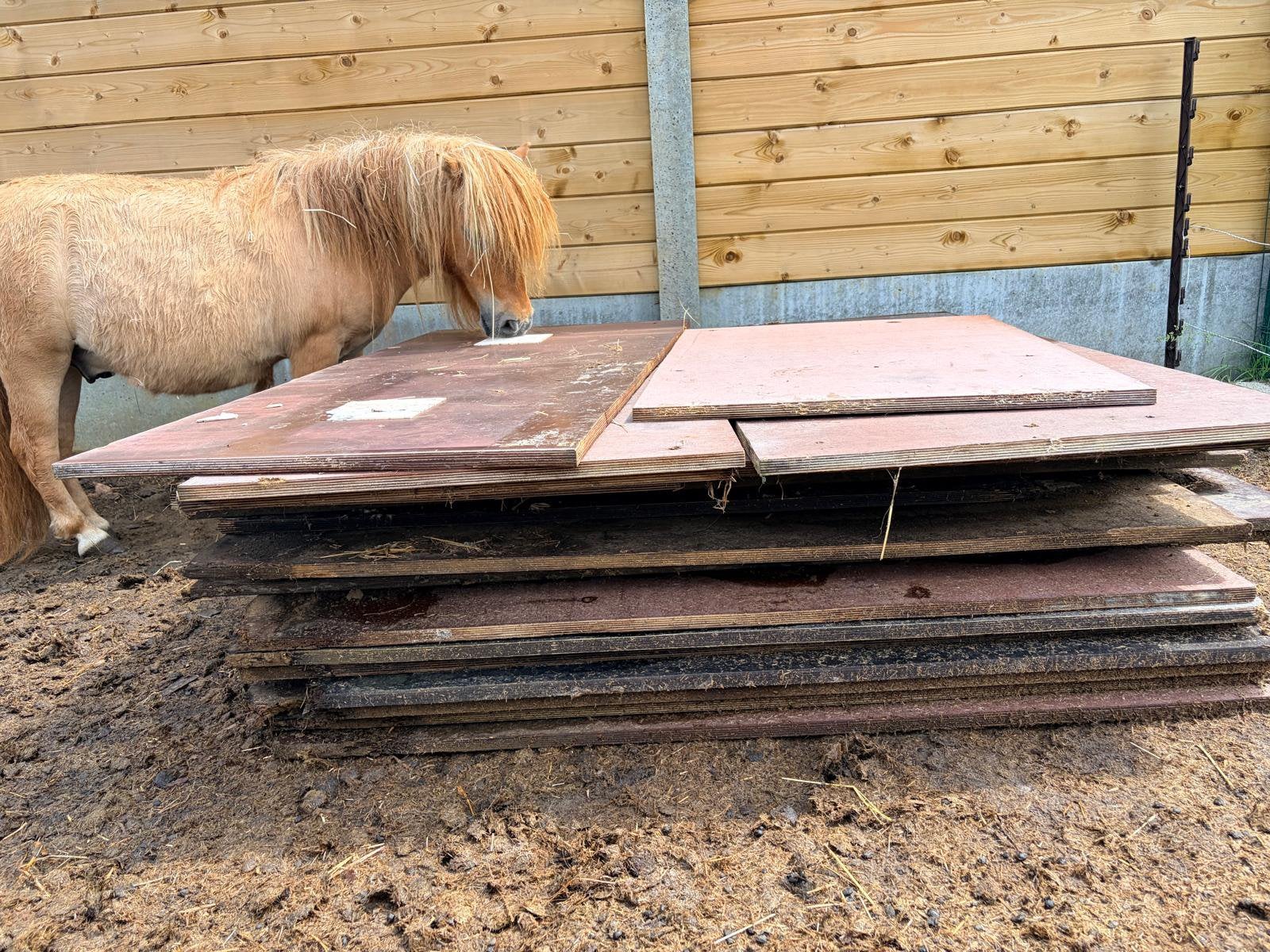 Gratis betonplexplaten, Stalling