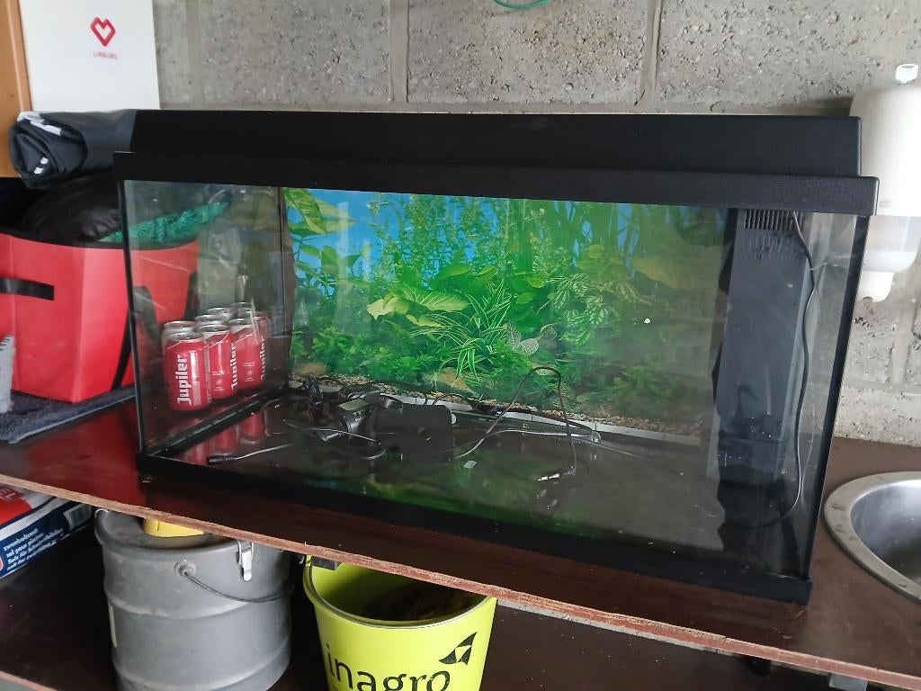 jewel aquarium 80 l, Ophalen, Zo goed als nieuw, Leeg aquarium, Juwel