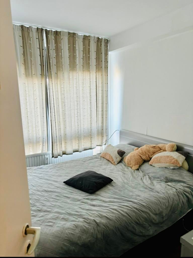 Appartement a vendre