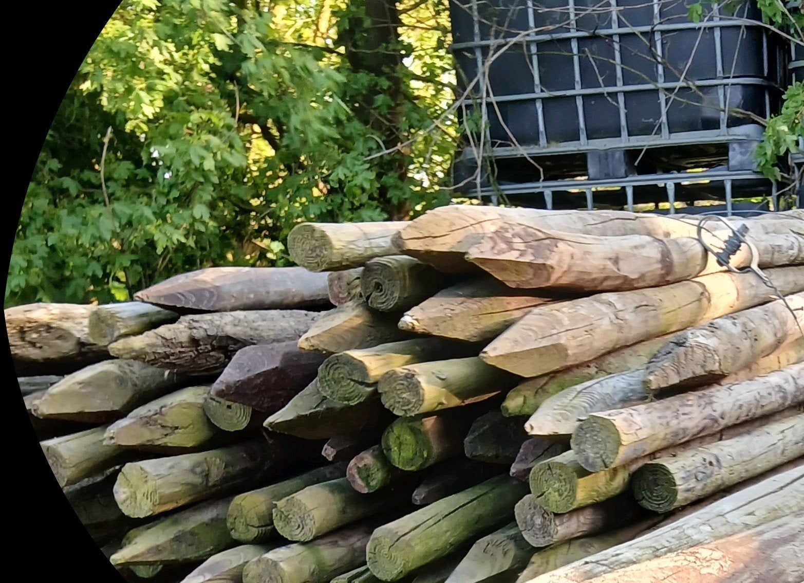 Houten palen, Enlèvement