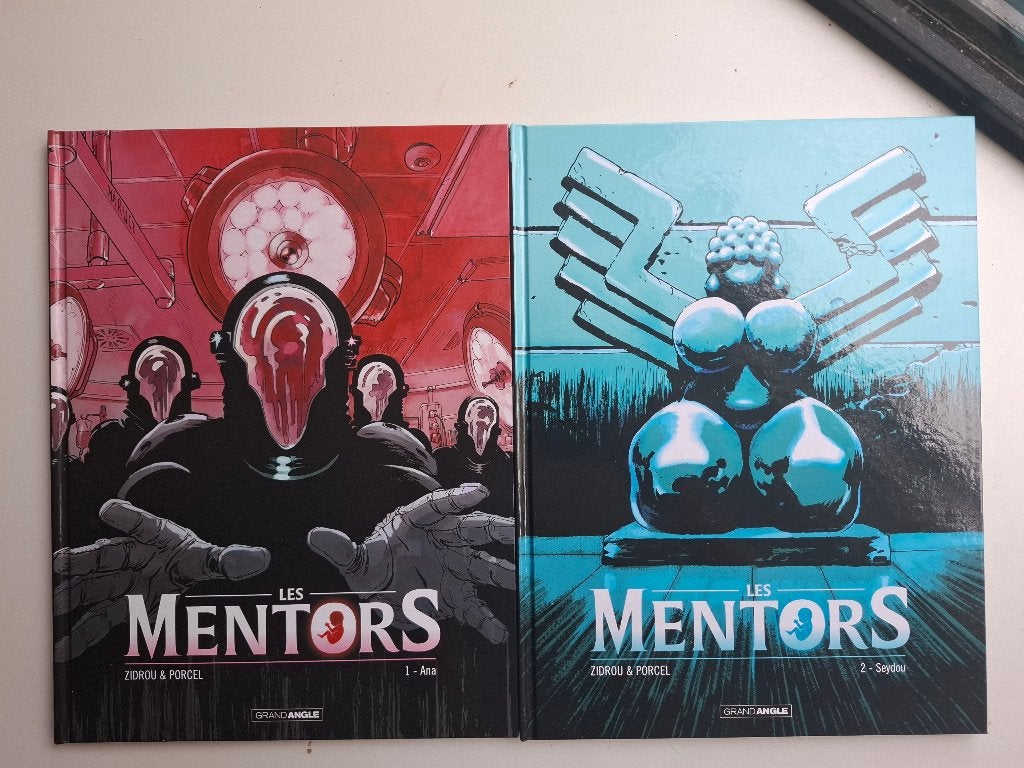 LES MENTORS TOMES 1 ET 2 SERIE COMPLETE TBE TOUS EO, Livres, Série complète ou Série, Enlèvement ou Envoi, Comme neuf