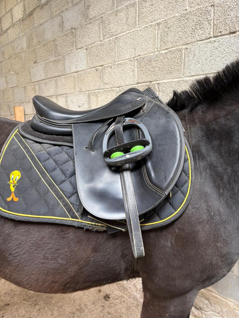 Selle a vendre, Animaux & Accessoires, Enlèvement, Comme neuf