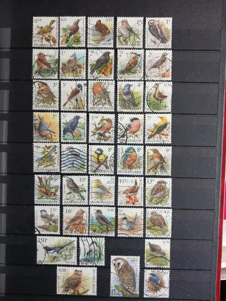Lot de 41 timbres-poste oiseaux Buzin, Enlèvement ou Envoi, Affranchi, Autre, Avec timbre