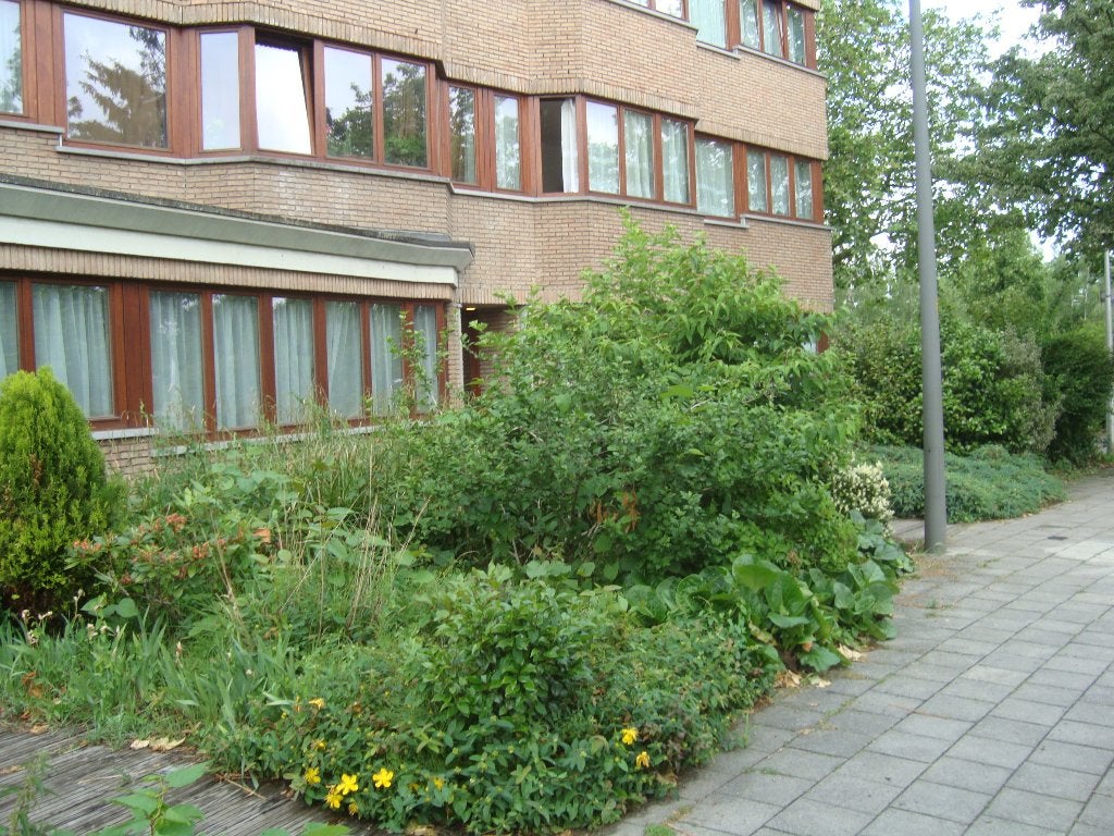Appartement te huur in Wilrijk., 50 m² of meer, Antwerpen (stad)