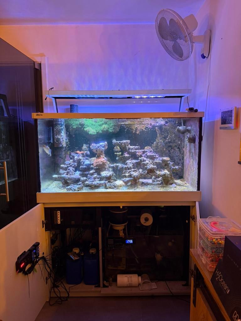 Red sea reefer max 500, Dieren en Toebehoren, Ophalen, Zo goed als nieuw, Red Sea