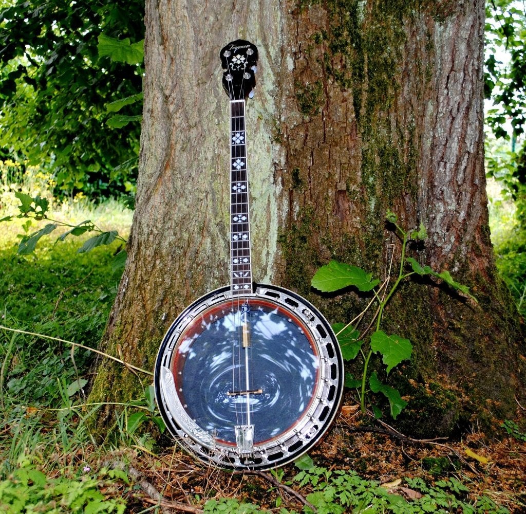 Banjo Tenor Tennessee, Musique & Instruments, Instruments à corde | Banjos, Enlèvement, Comme neuf, Banjo ténor