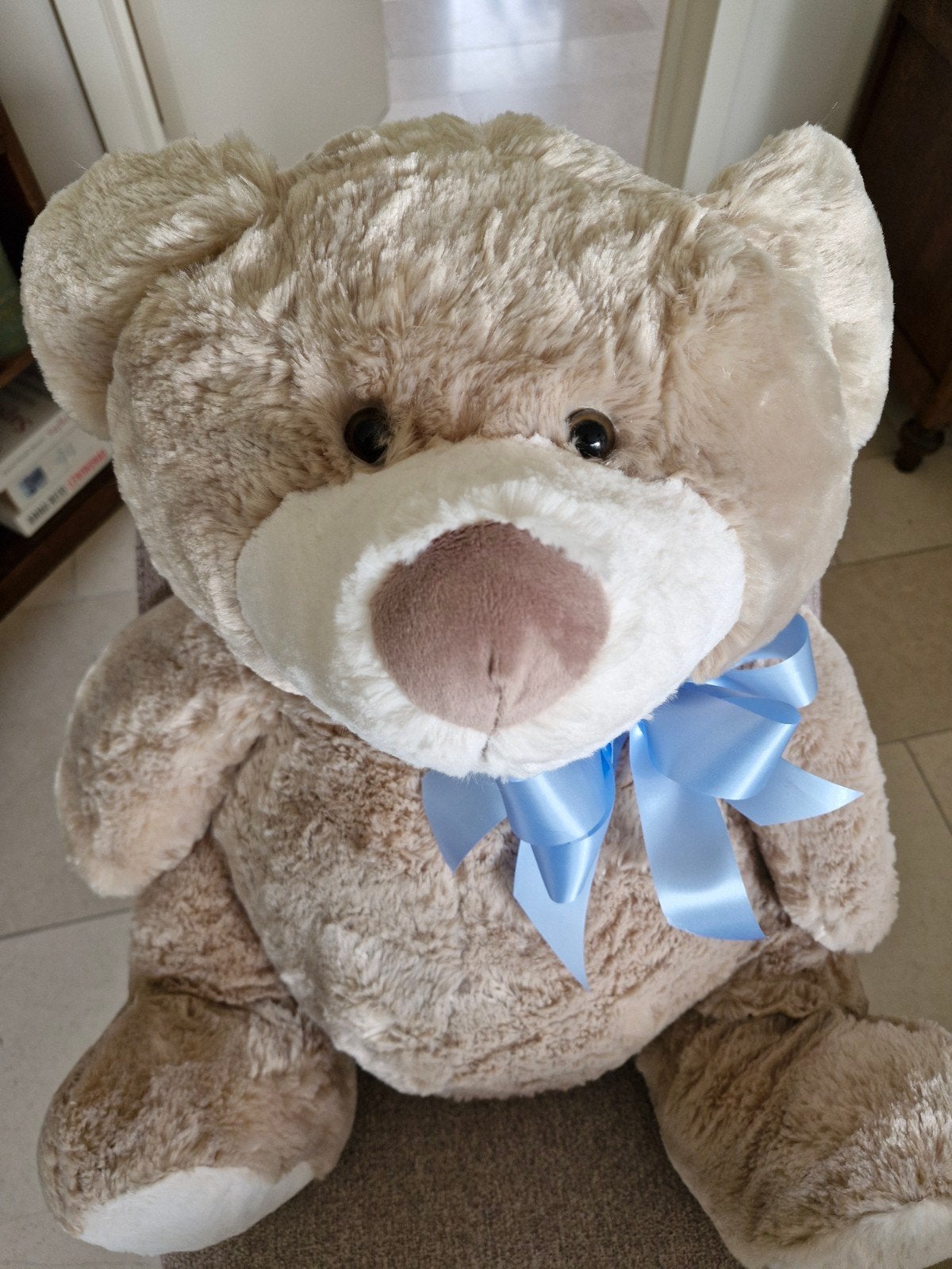 Pluchen teddy beer (NIEUW), Ophalen, Nieuw, Stoffen beer